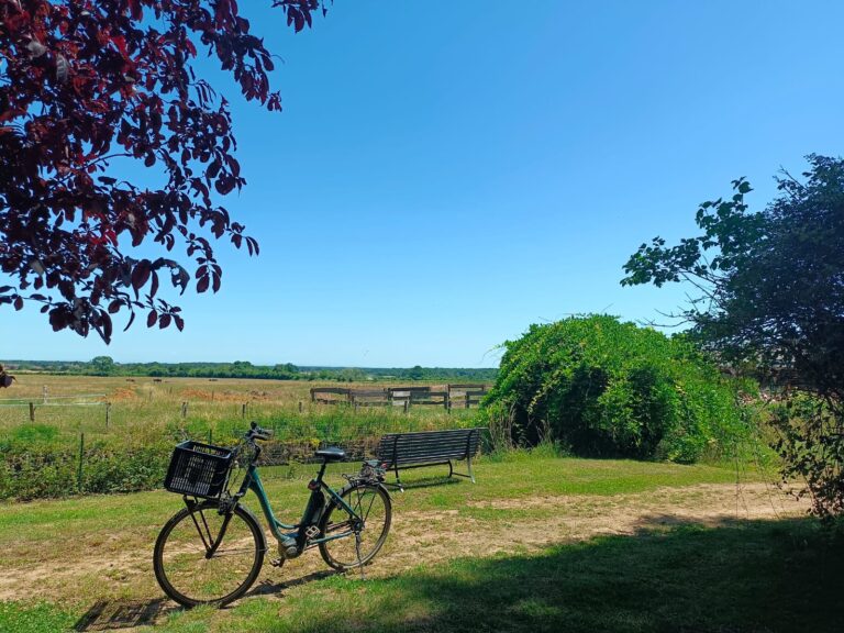 vélos sur la voie verte