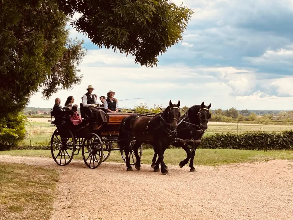 Balade en attelage
